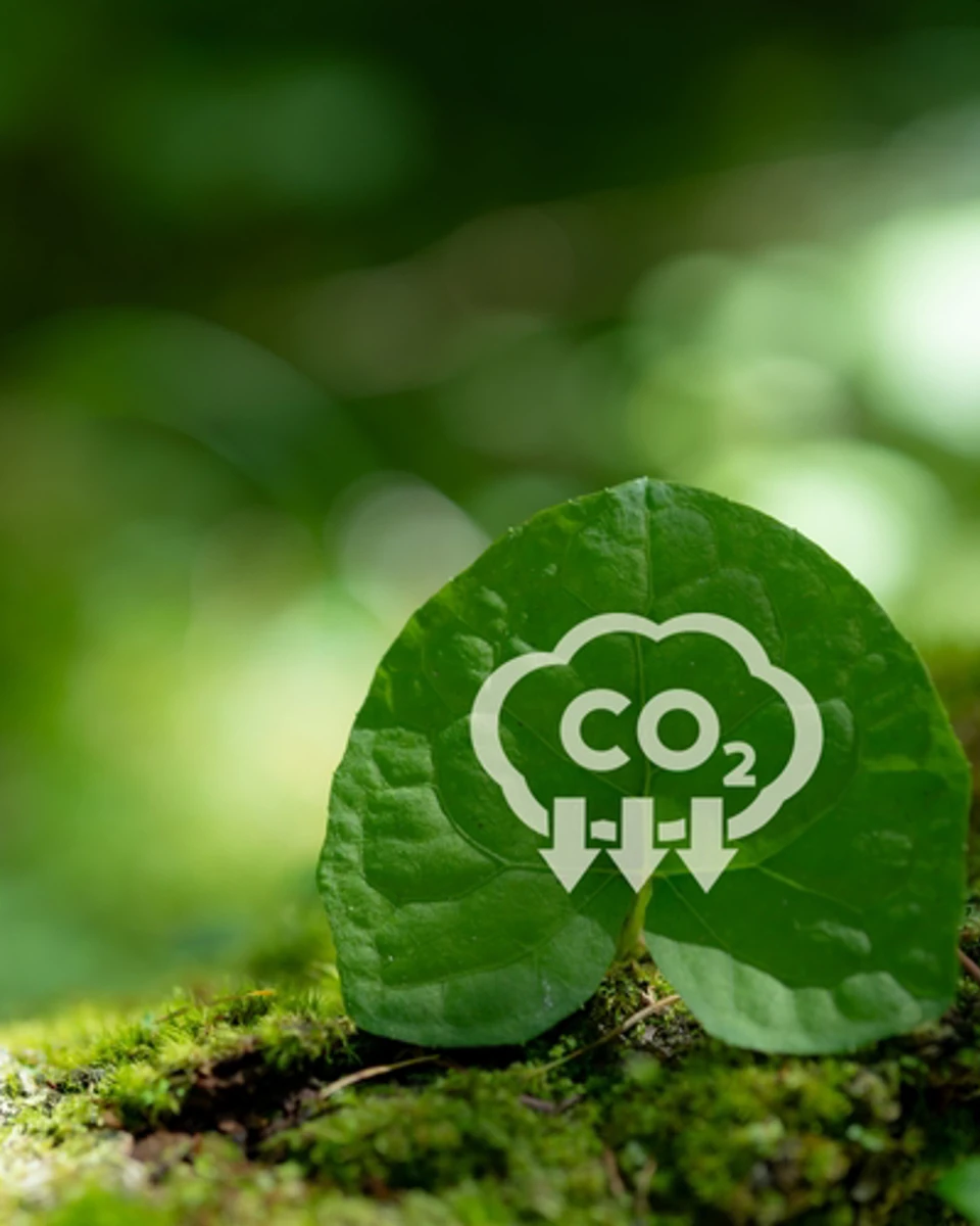 CO2 Down